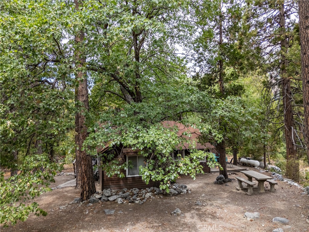 9165 Coffey Road Forest Falls, CA 92339 - Photo 27 of 31