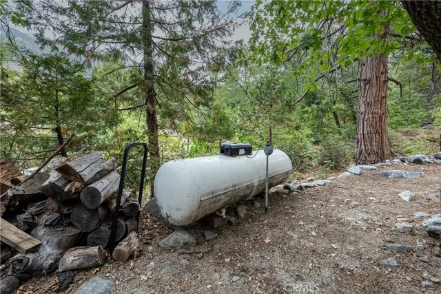 $315,000 | 9165 Coffey Road, Forest Falls, CA 92339