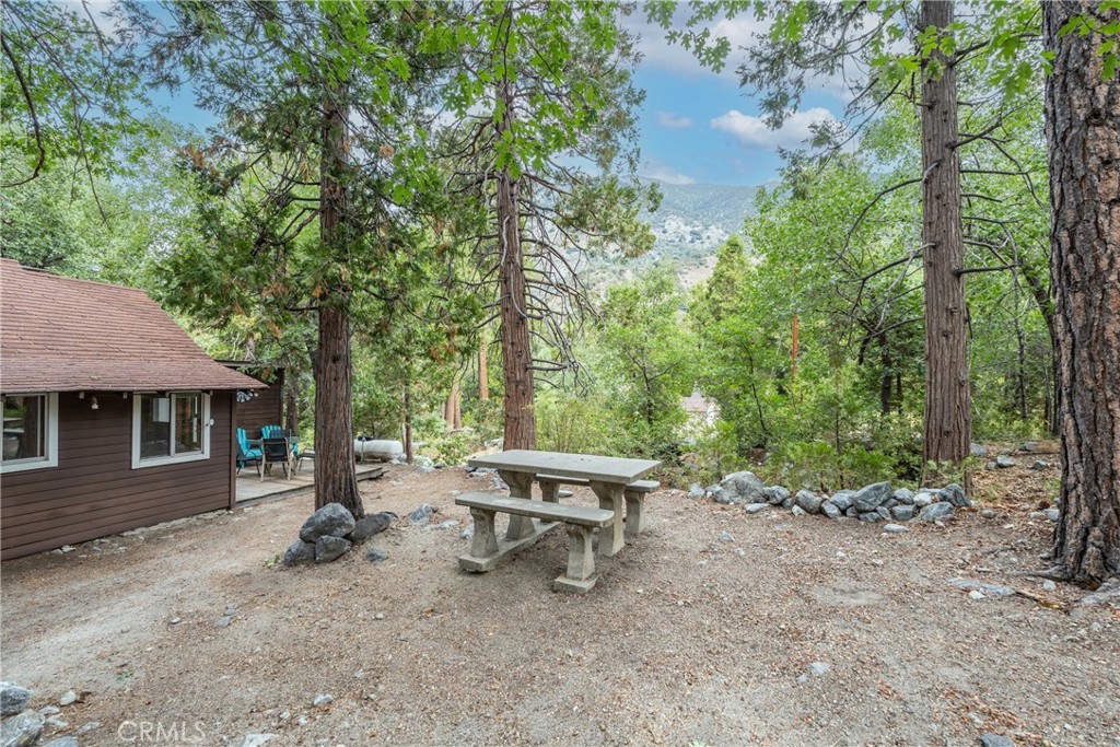 9165 Coffey Road Forest Falls, CA 92339 - Photo 4 of 31