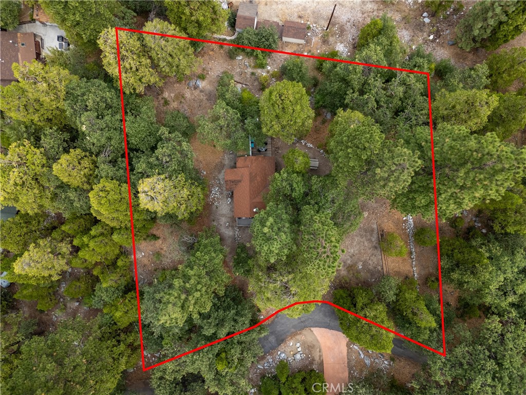 9165 Coffey Road Forest Falls, CA 92339 - Photo 7 of 31