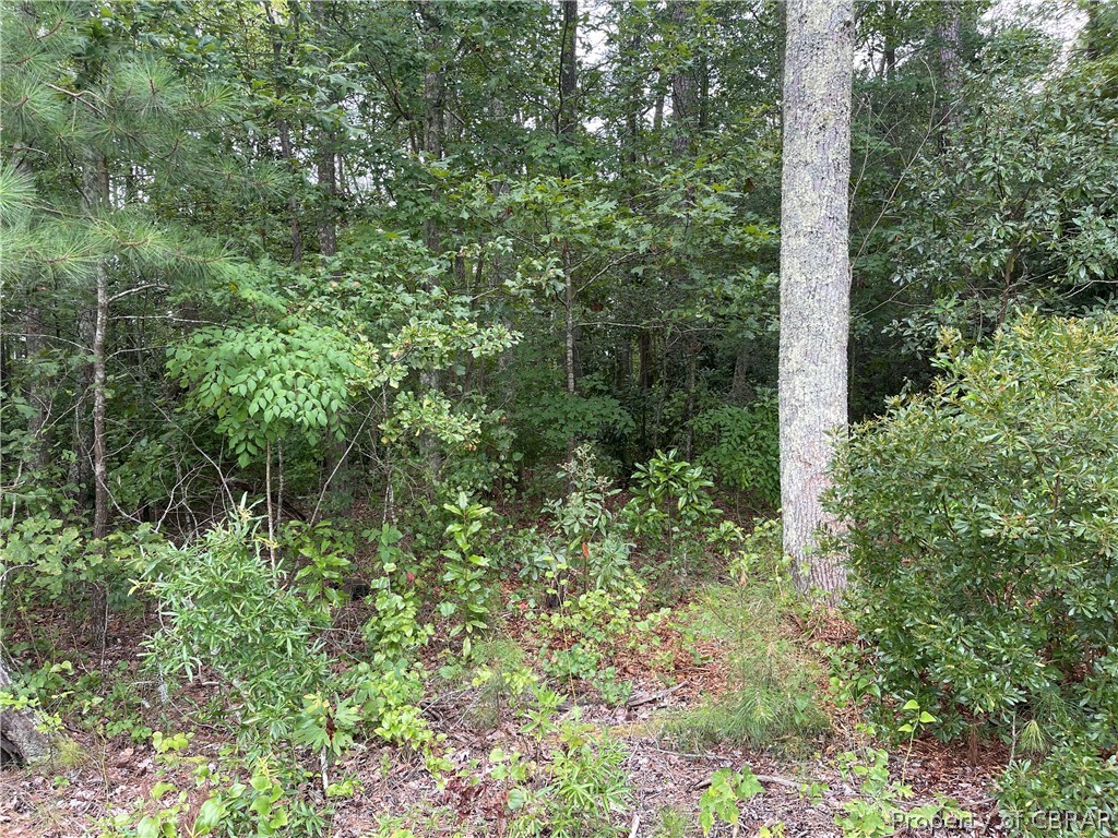 0 Line Fence Road Hayes, VA 23072 - Photo 12 of 14