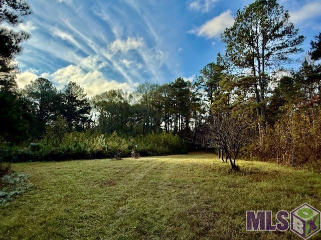 0 Perry Town Road Crosby, MS 39633 - Photo 11 of 15