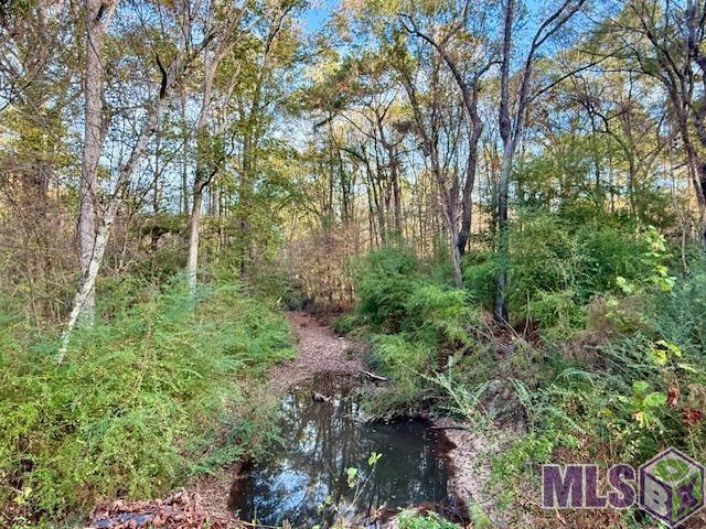 0 Perry Town Road Crosby, MS 39633 - Photo 12 of 15