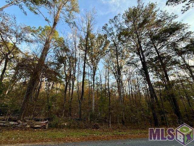 0 Perry Town Road Crosby, MS 39633 - Photo 13 of 15