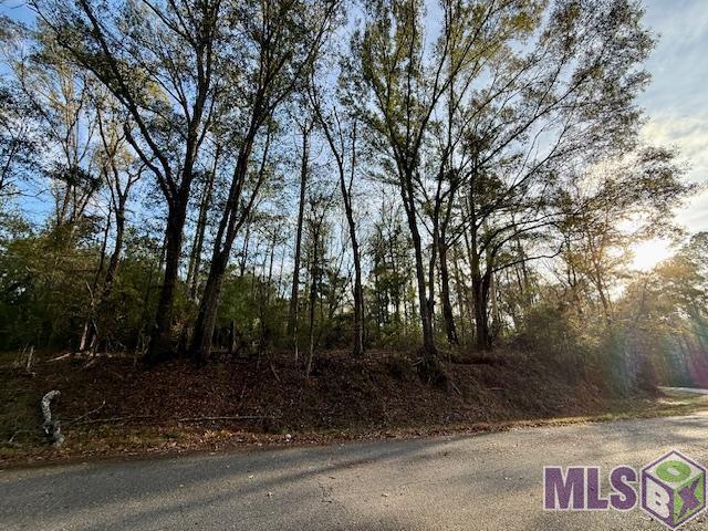 0 Perry Town Road Crosby, MS 39633 - Photo 14 of 15