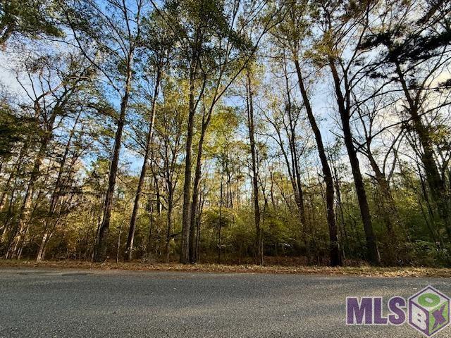 0 Perry Town Road Crosby, MS 39633 - Photo 15 of 15