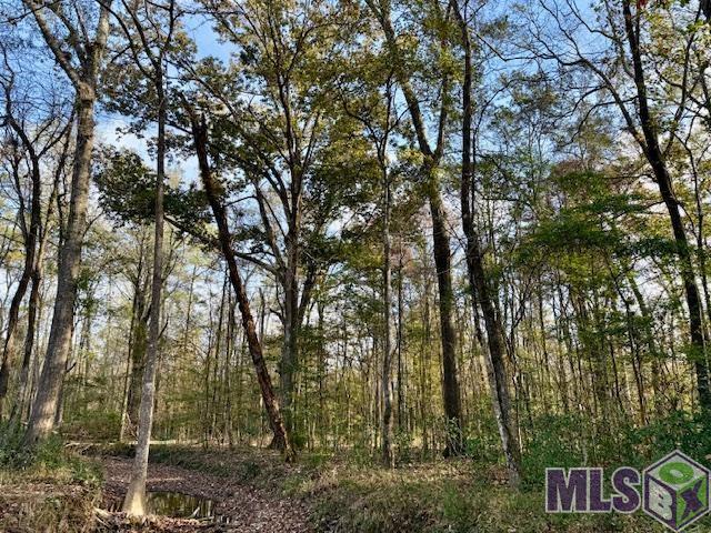 0 Perry Town Road Crosby, MS 39633 - Photo 5 of 15