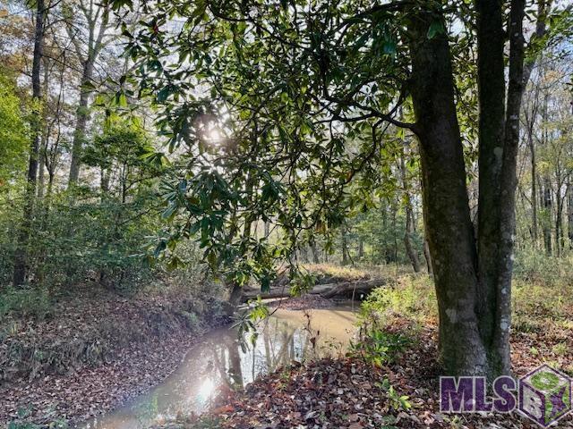 0 Perry Town Road Crosby, MS 39633 - Photo 6 of 15