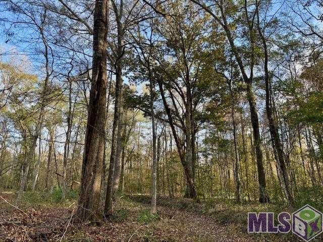 0 Perry Town Road Crosby, MS 39633 - Photo 7 of 15