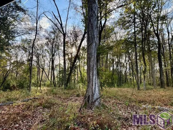 $846,000 | 0 Perry Town Road, Crosby, MS 39633