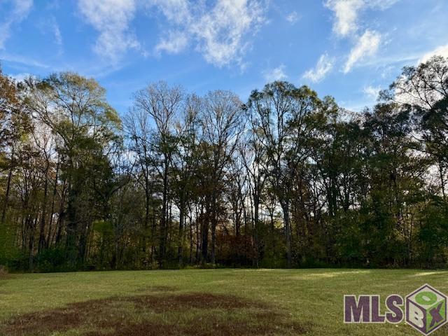 0 Perry Town Road Crosby, MS 39633 - Photo 10 of 15