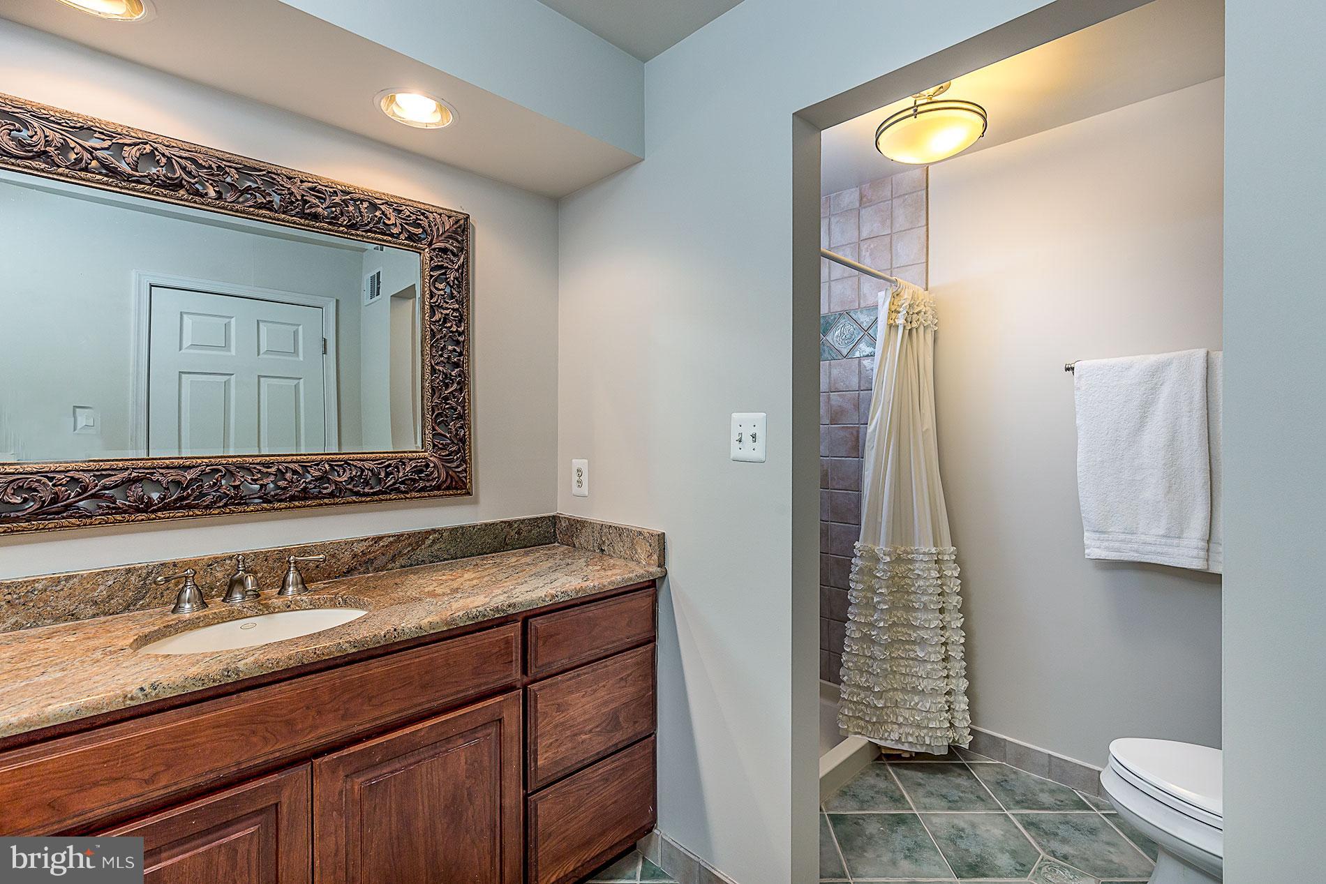 3777 Inverness Road Fairfax, VA 22033 - Photo 17 of 30 Bath (Master)