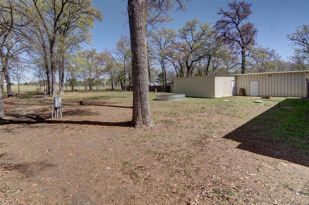 190 County Road 1975 Yantis, TX 75497 - Photo 32 of 36 a view of a yard with tree s