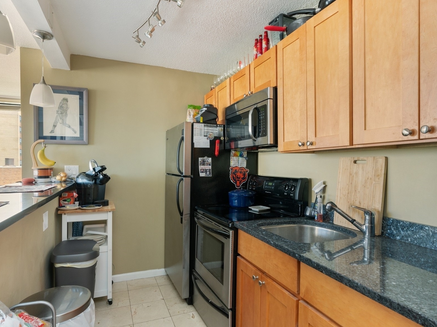 3110 North Sheridan Road, Unit 1802 Chicago, IL 60657 - Photo 6 of 14