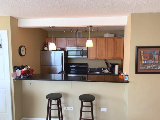 3110 North Sheridan Road, Unit 1802 Chicago, IL 60657 - Photo 7 of 14