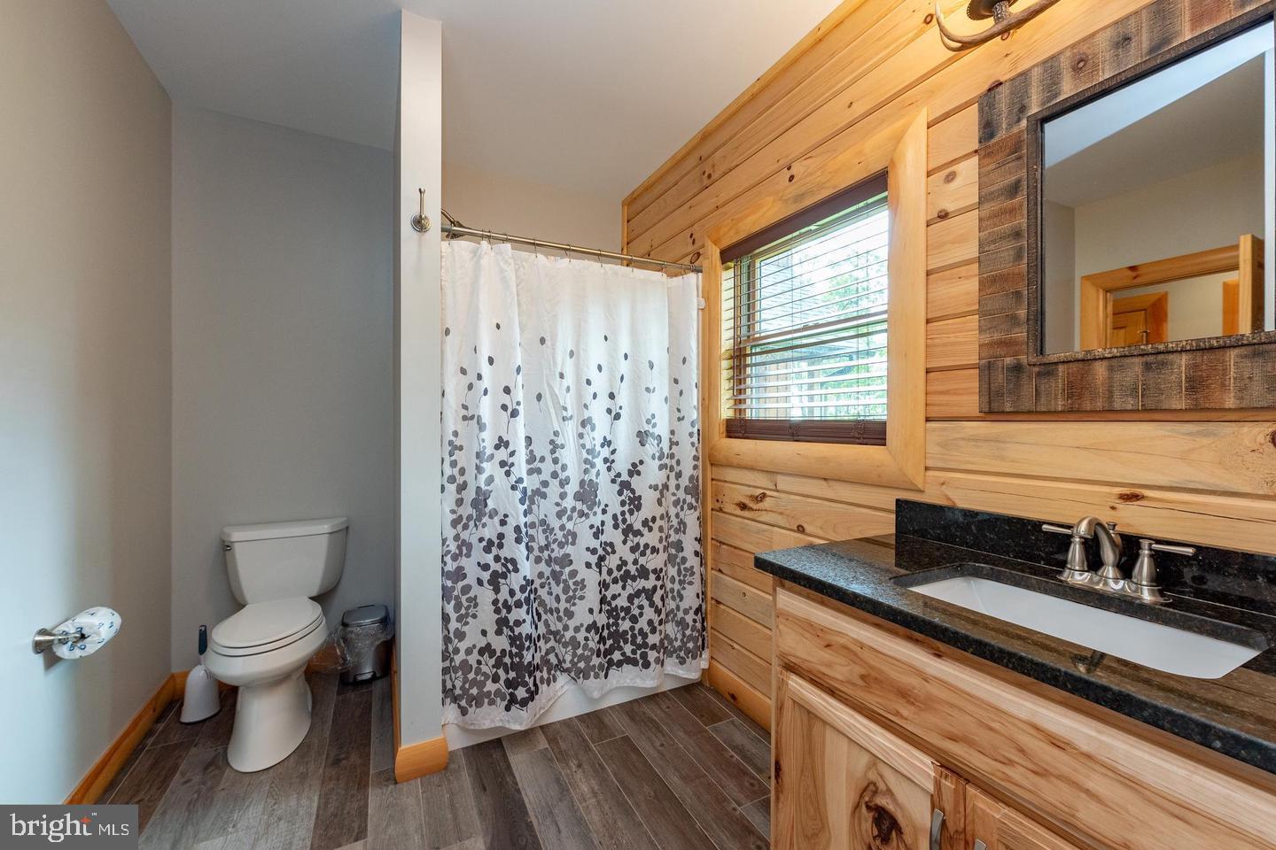 260 Biltmore Rdg Trail McHenry, MD 21541 - Photo 17 of 56