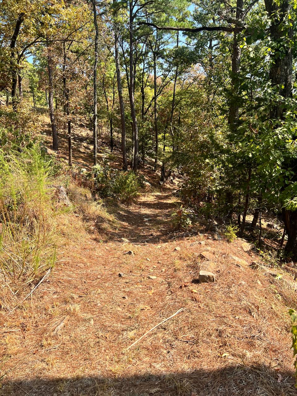 1097 Flagpole Road Clayton, OK 74536 - Photo 27 of 32 Wooded terrain with a natural path, surrounded by mature trees