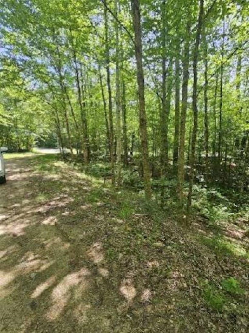 0 Myrtle Street Campton, NH 03223 - Photo 3 of 7