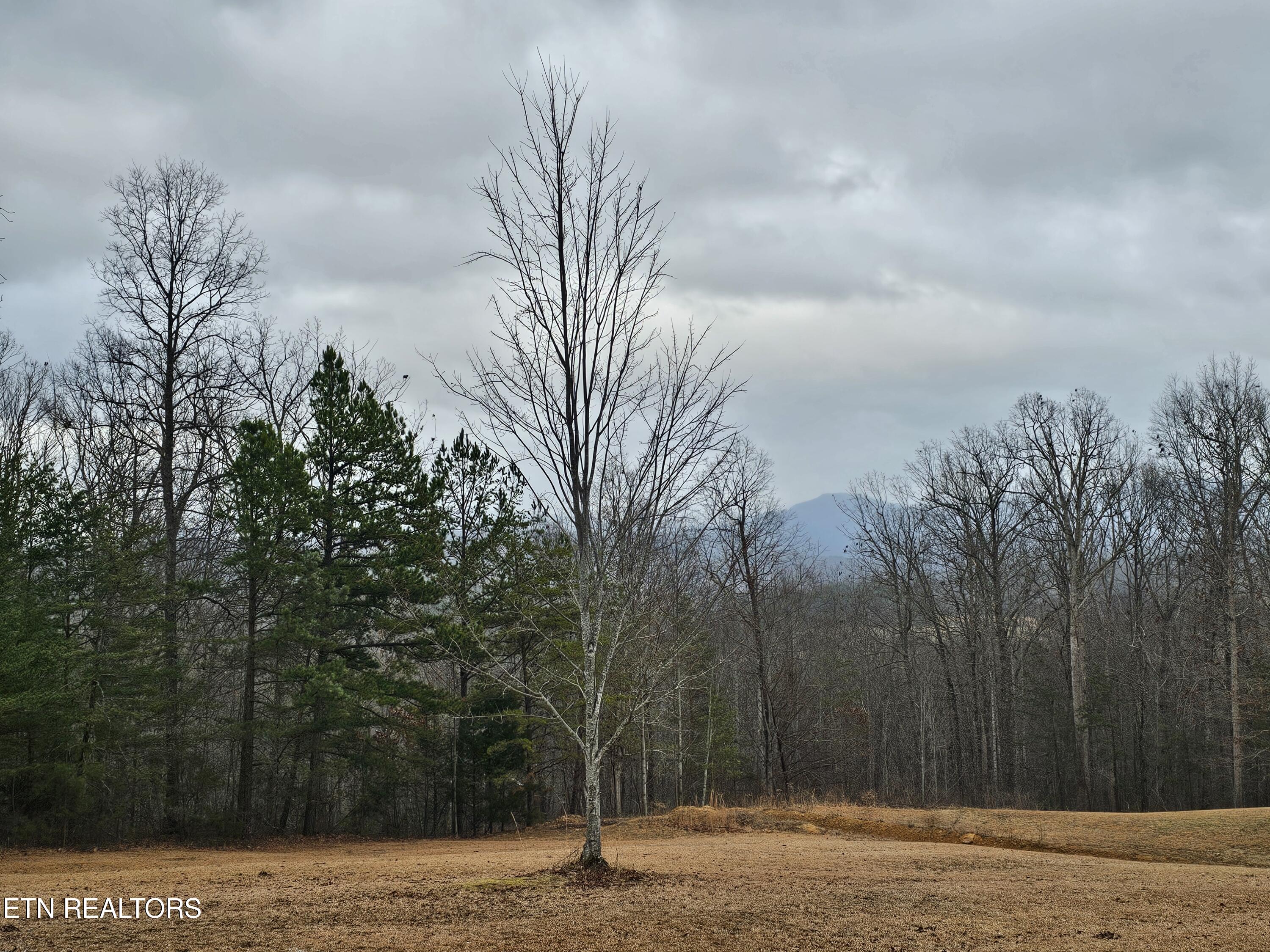741 Melvin Hollow Road Pioneer, TN 37847 - Photo 30 of 53 20260106_160624