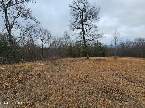 $275,000 | 741 Melvin Hollow Road, Pioneer, TN 37847