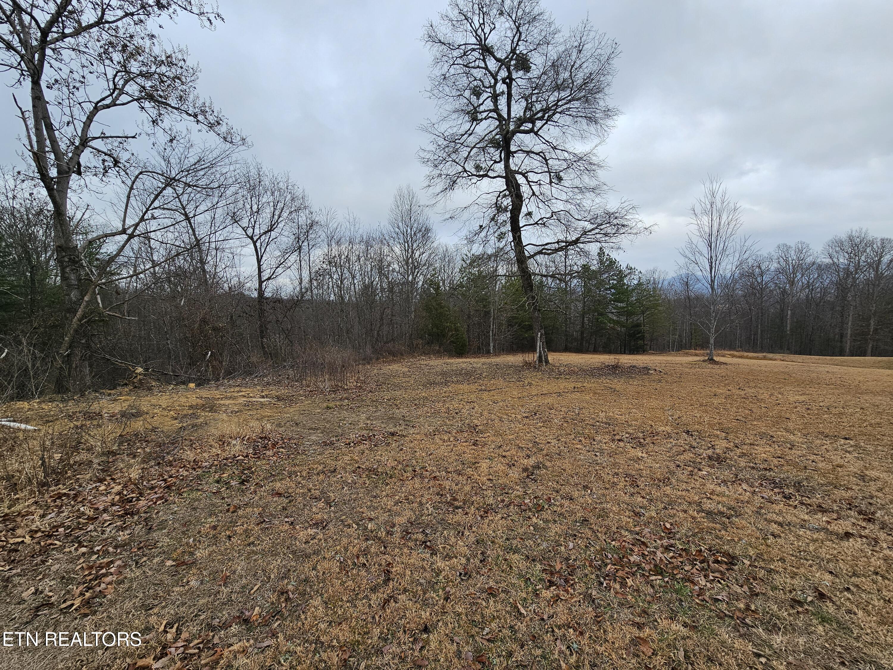 741 Melvin Hollow Road Pioneer, TN 37847 - Photo 31 of 53 20260106_160610