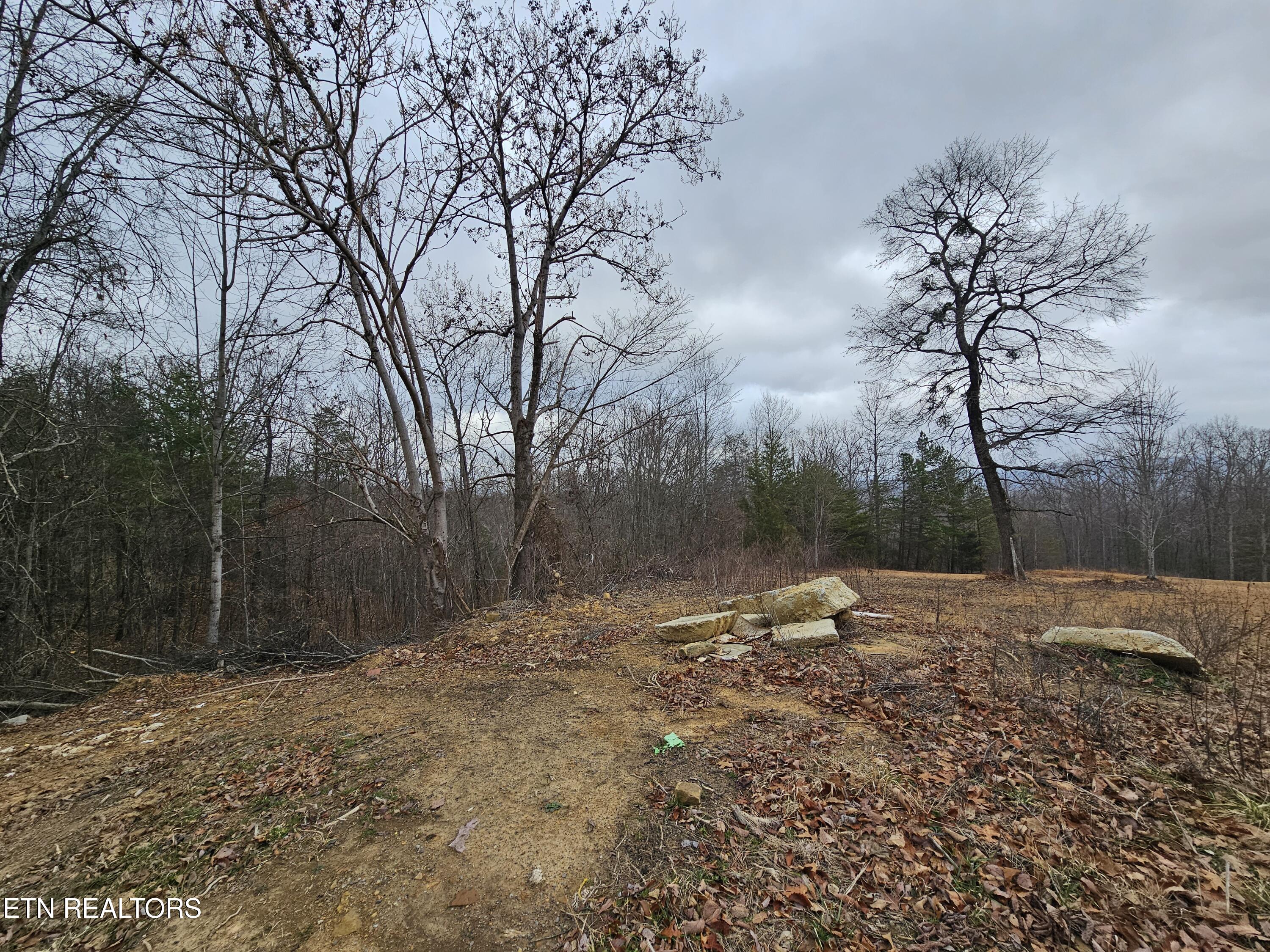 741 Melvin Hollow Road Pioneer, TN 37847 - Photo 33 of 53 20260106_160554