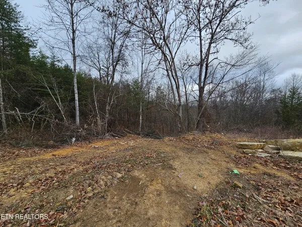 $275,000 | 741 Melvin Hollow Road, Pioneer, TN 37847