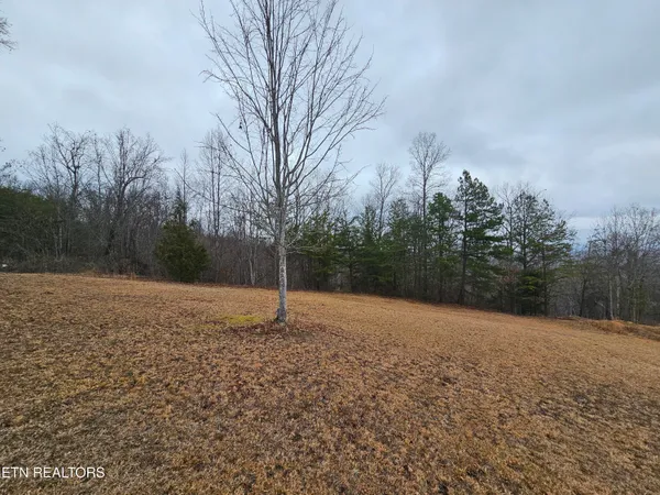 $275,000 | 741 Melvin Hollow Road, Pioneer, TN 37847