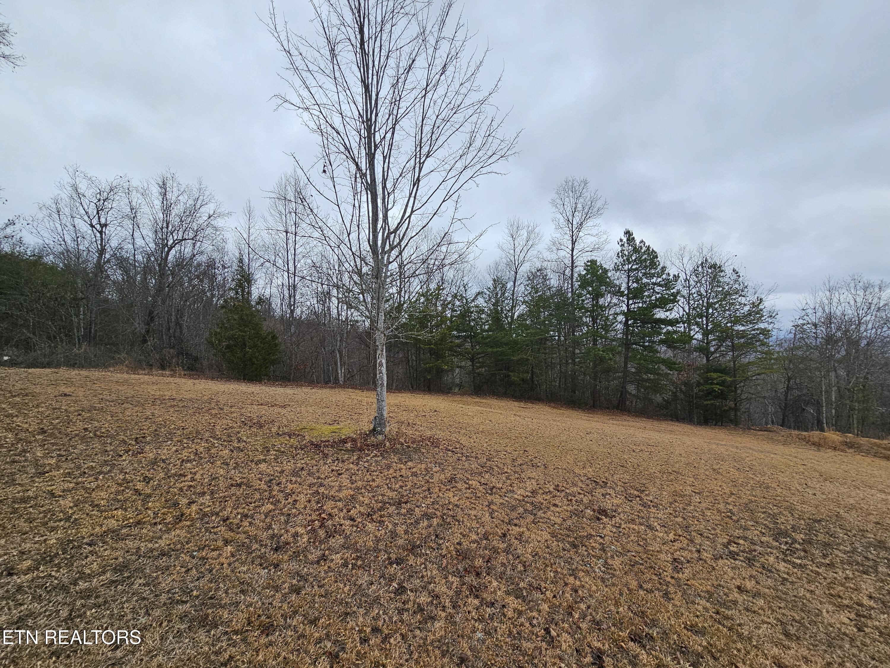 741 Melvin Hollow Road Pioneer, TN 37847 - Photo 38 of 53 20260106_160354