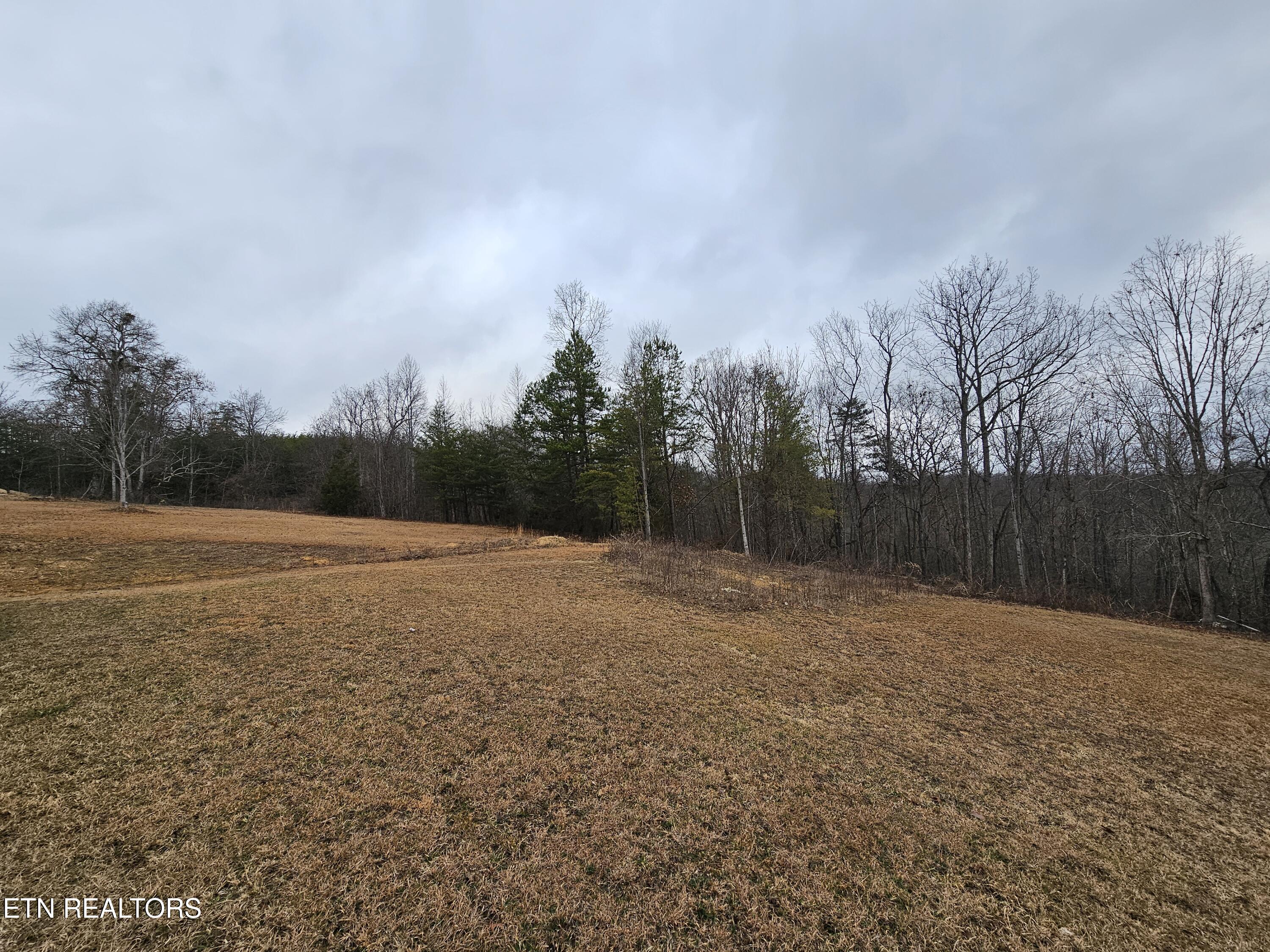 741 Melvin Hollow Road Pioneer, TN 37847 - Photo 46 of 53 20260106_160212