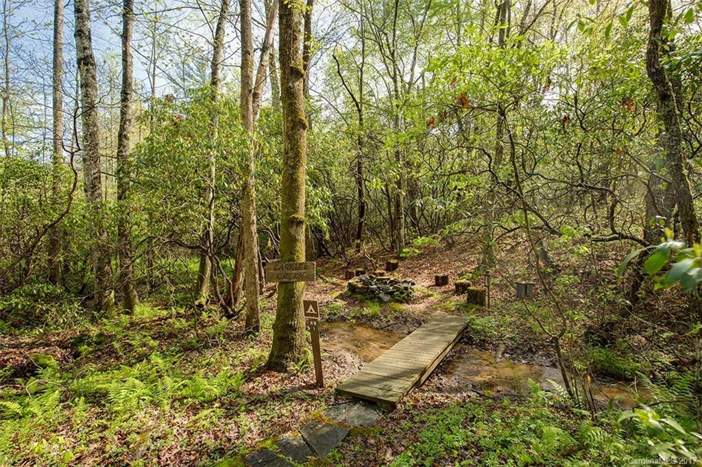 1197 Line Runner Ridge Road Rosman, NC 28772 - Photo 3 of 13 Gallery Image 3