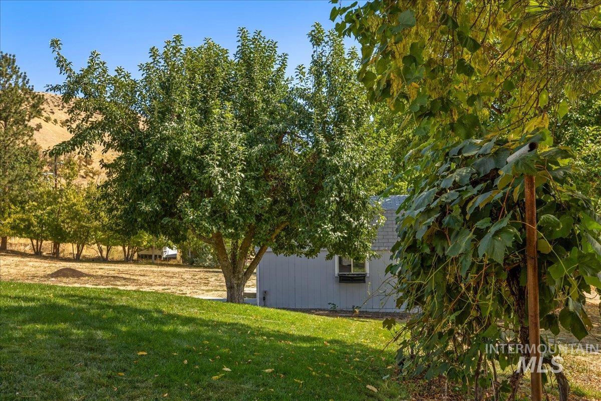 5611 West Hill Road Boise, ID 83703 - Photo 37 of 48 View of grassy yard