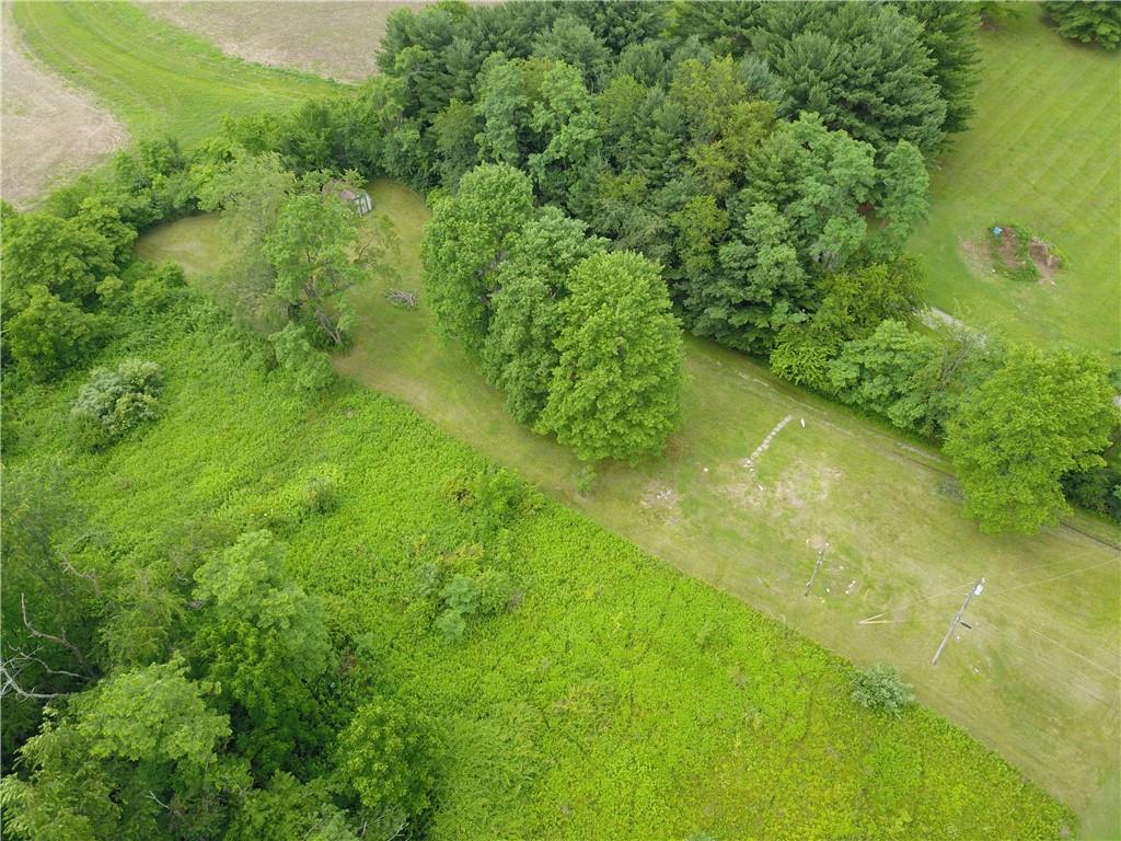 2041 Cemetery Road New Alexandria, PA 15670 - Photo 2 of 11