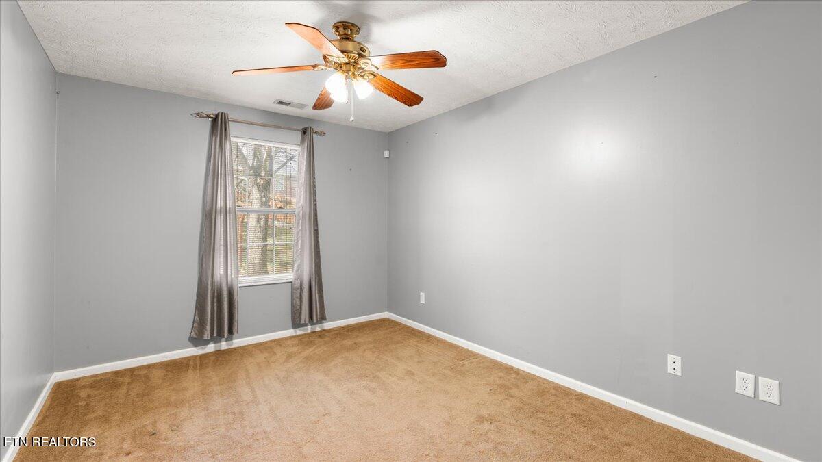7133 Alice Springs Lane Corryton, TN 37721 - Photo 19 of 29 17-Bedroom 3