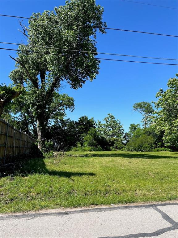 412 Evans Road Rockwall, TX 75032 - Photo 1 of 1 a view of a garden with a tree in the background