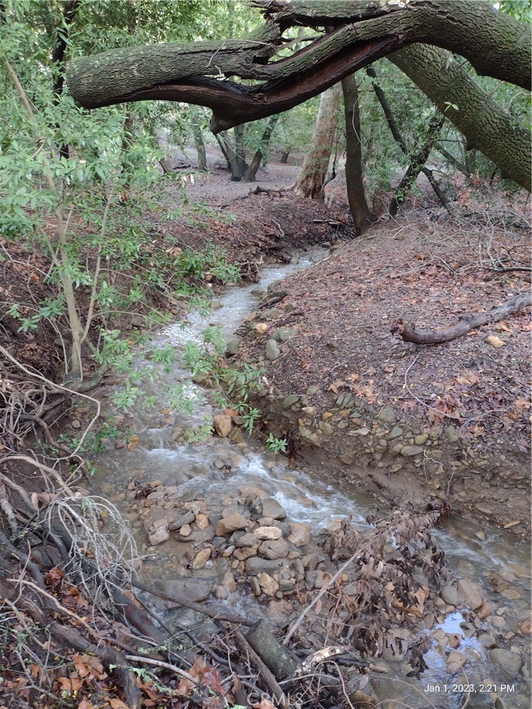 9500 Santa Rosa Creek Road Cambria, CA 93428 - Photo 22 of 33 Seasonal Creek