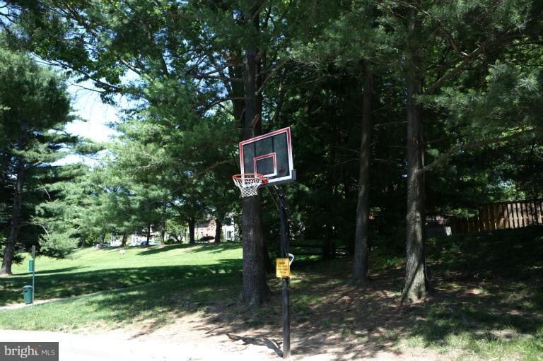 19317 Club House Road, Unit 103 Montgomery Village, MD 20886 - Photo 6 of 17 Community Basketball