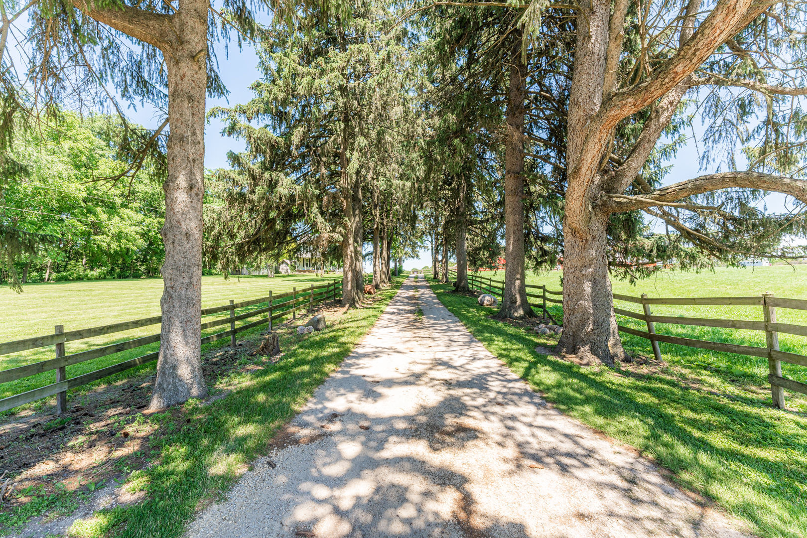 12757 Base Line Road Genoa, IL 60135 - Photo 2 of 49 a view of a yard with plants and trees