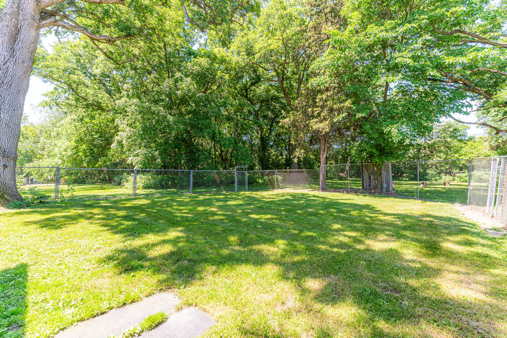 12757 Base Line Road Genoa, IL 60135 - Photo 23 of 49 a view of a yard with a large tree