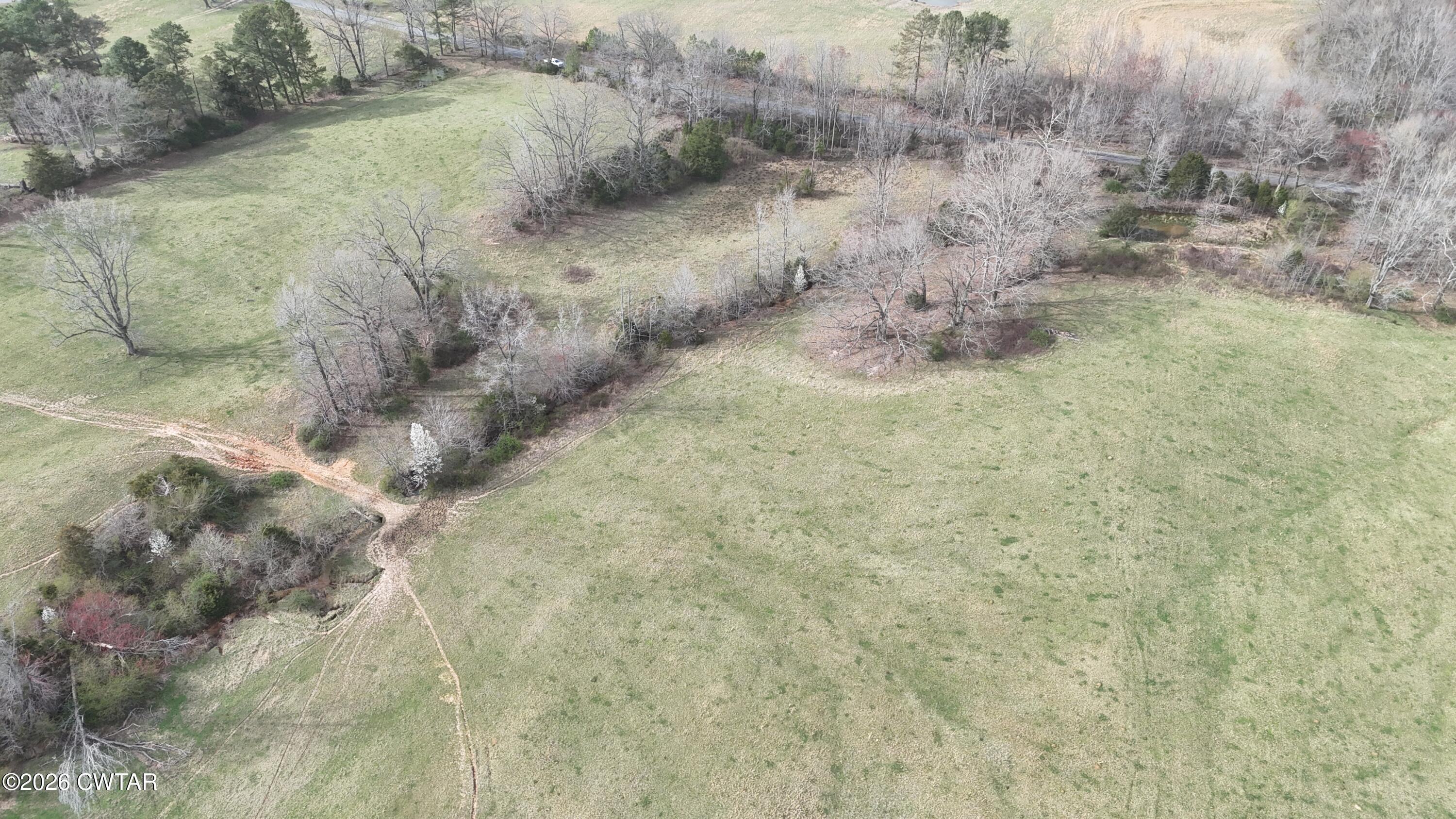 2 Brazil Bottom Road Lexington, TN 38351 - Photo 13 of 14 a view of a dry yard with trees
