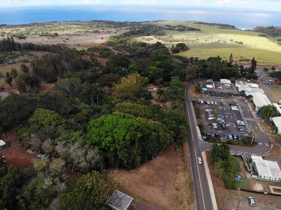 88 Pauwela Road Haiku, HI 96708 - Photo 7 of 9 an aerial view of a city and lake view
