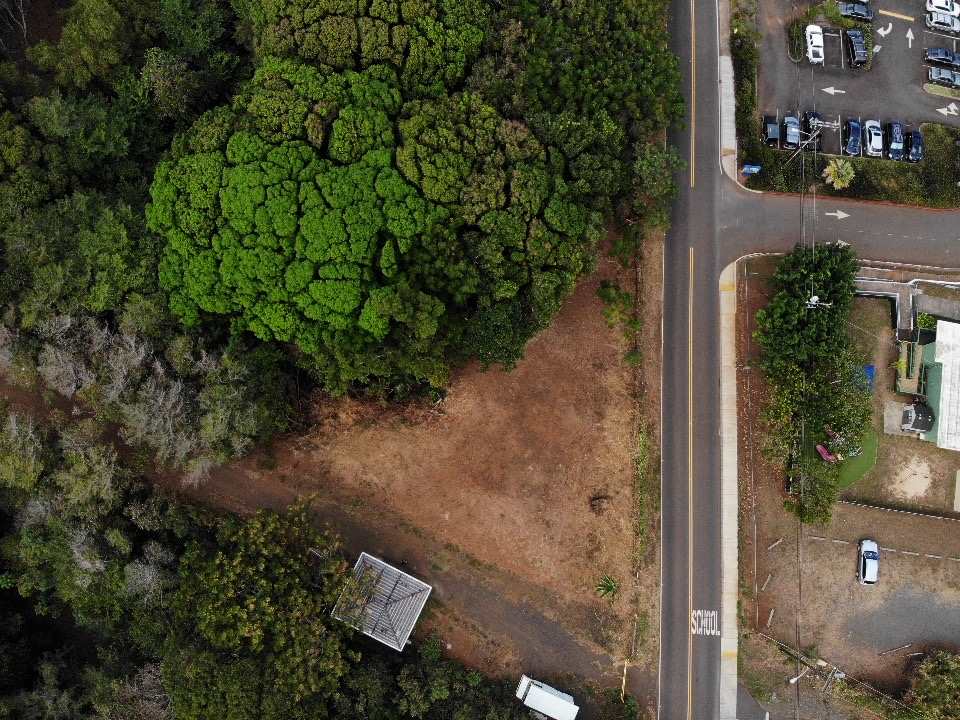 88 Pauwela Road Haiku, HI 96708 - Photo 8 of 9 an aerial view of a house with a yard