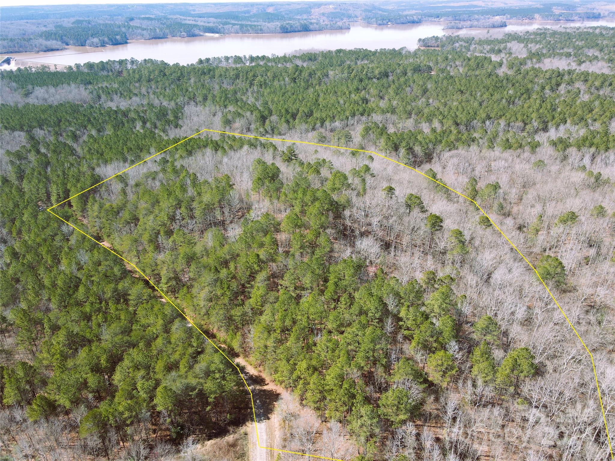 166 Wentworth Pass Rockingham, NC 28379 - Photo 1 of 27 a view of a city with lush green forest