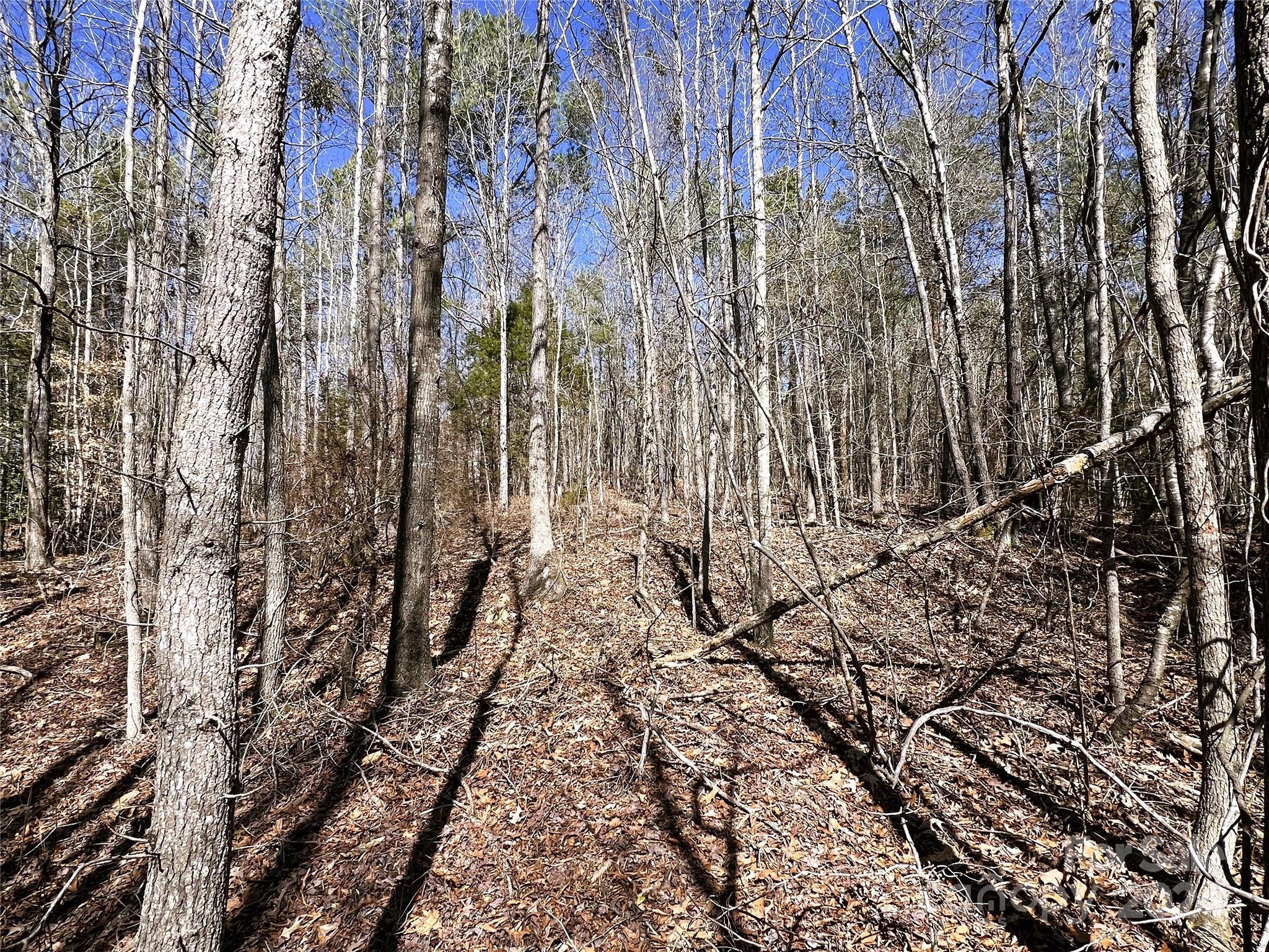 166 Wentworth Pass Rockingham, NC 28379 - Photo 12 of 27
