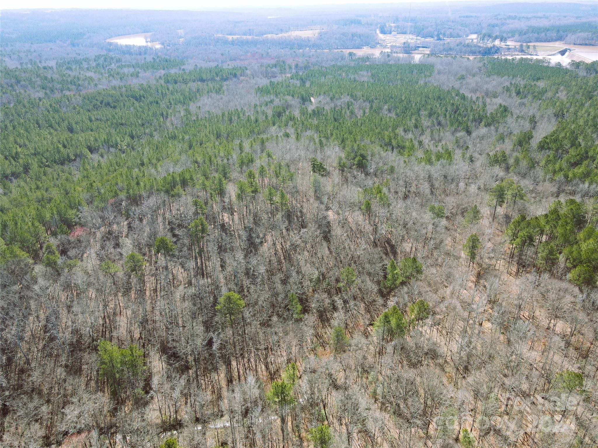 166 Wentworth Pass Rockingham, NC 28379 - Photo 13 of 27 a view of a green field with lots of bushes