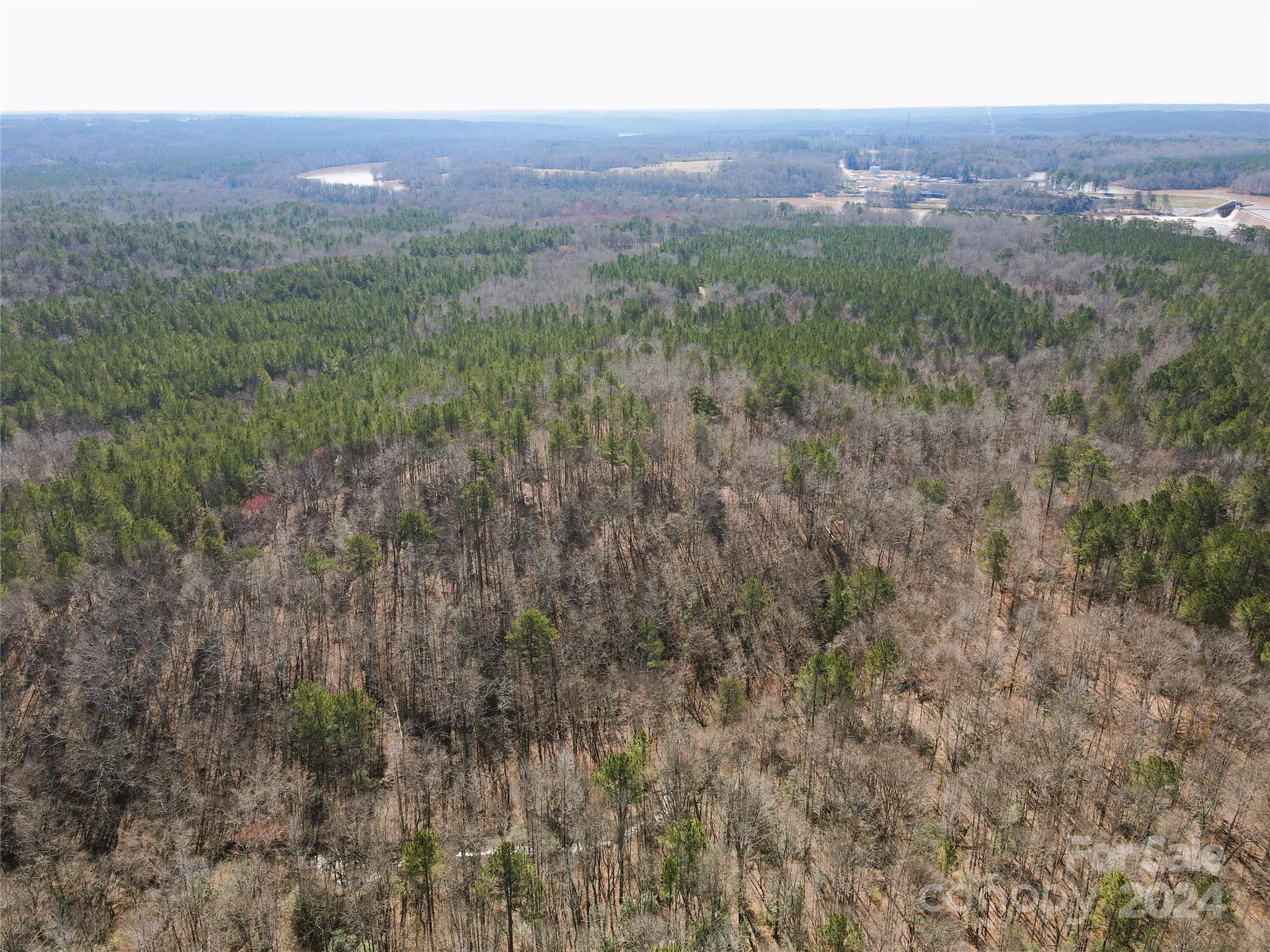 166 Wentworth Pass Rockingham, NC 28379 - Photo 14 of 27 a view of a city with lush green forest