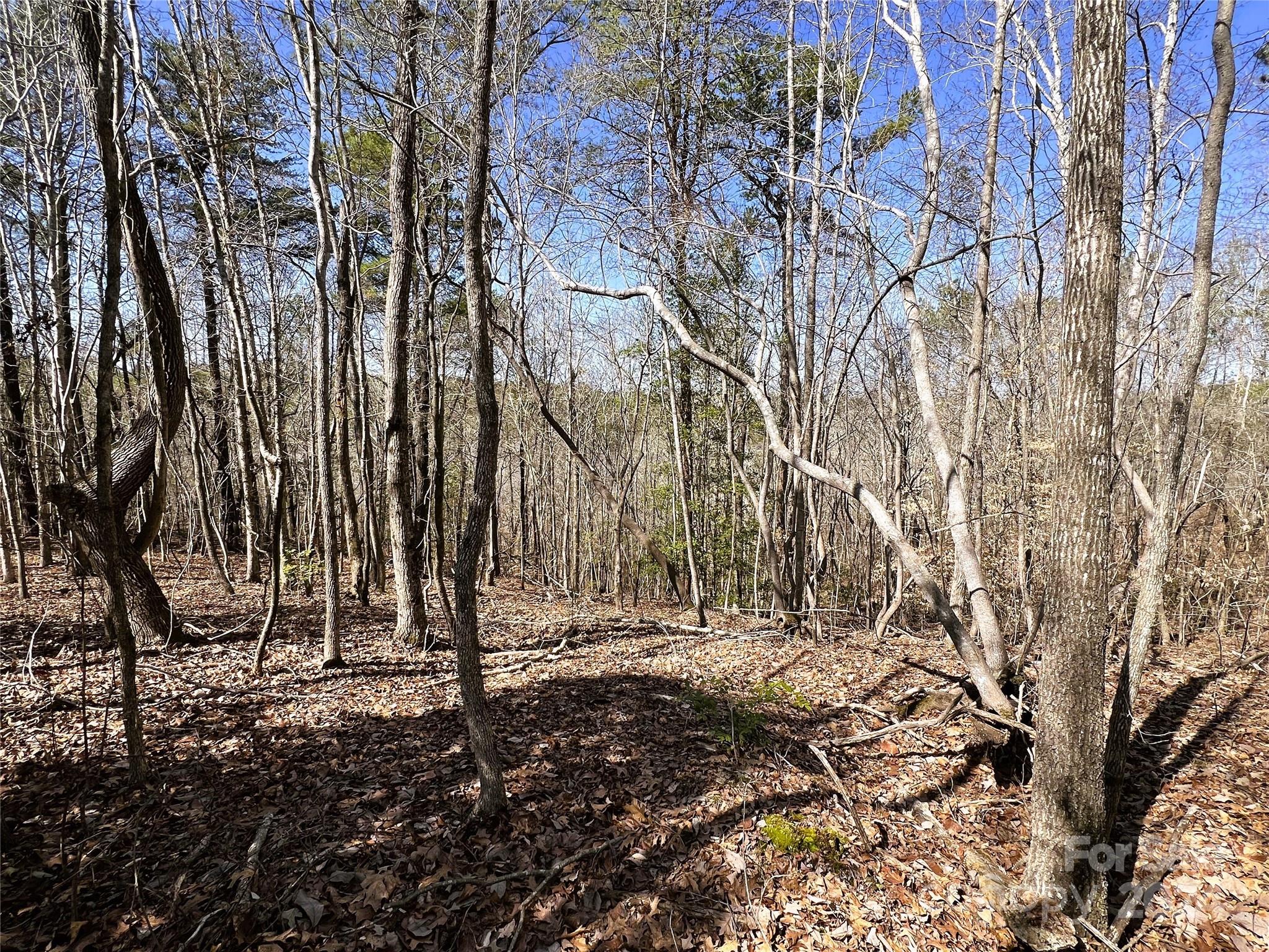 166 Wentworth Pass Rockingham, NC 28379 - Photo 15 of 27 a view of outdoor space with a tree