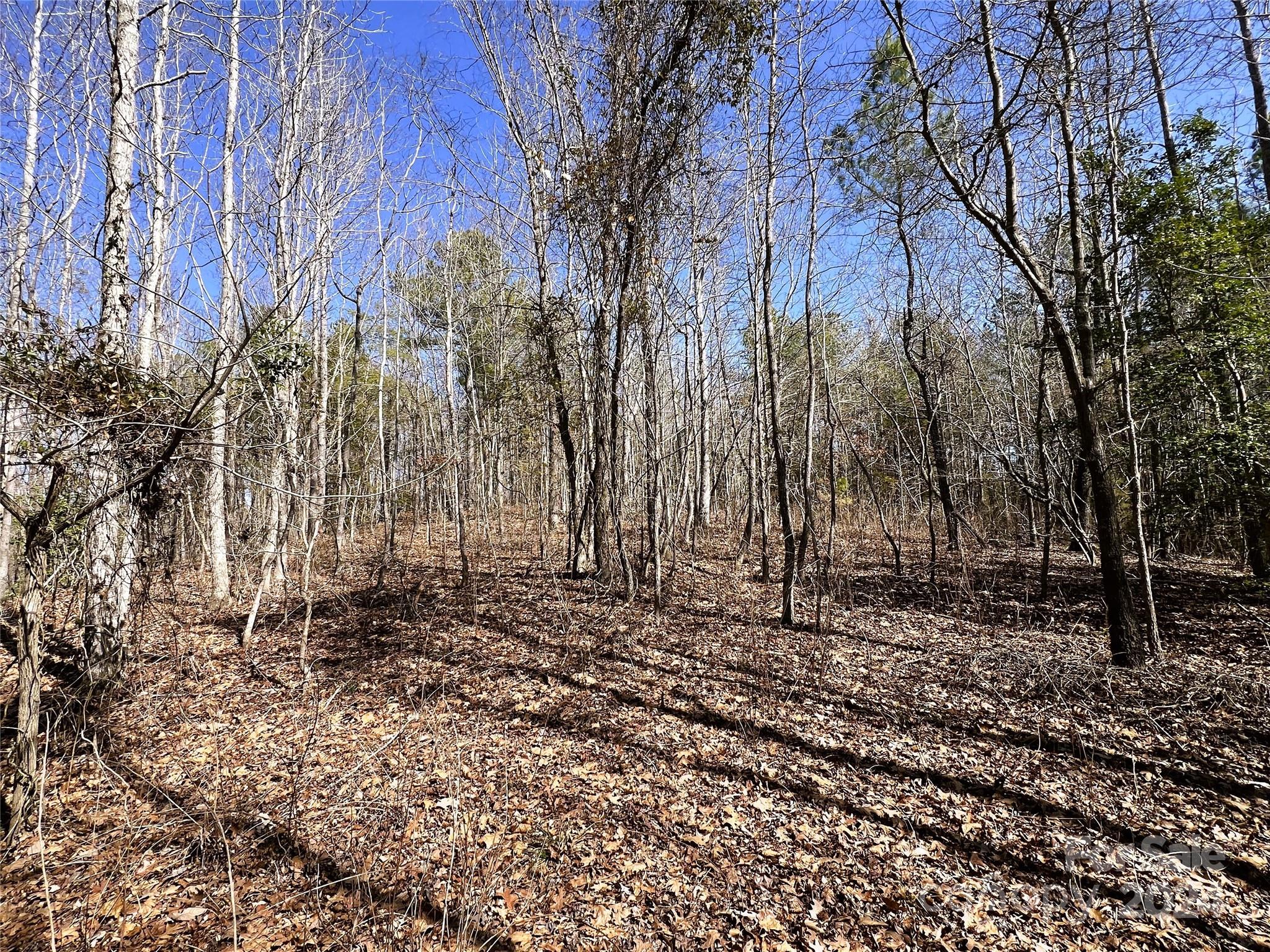 166 Wentworth Pass Rockingham, NC 28379 - Photo 20 of 27 a big yard with lots of green space