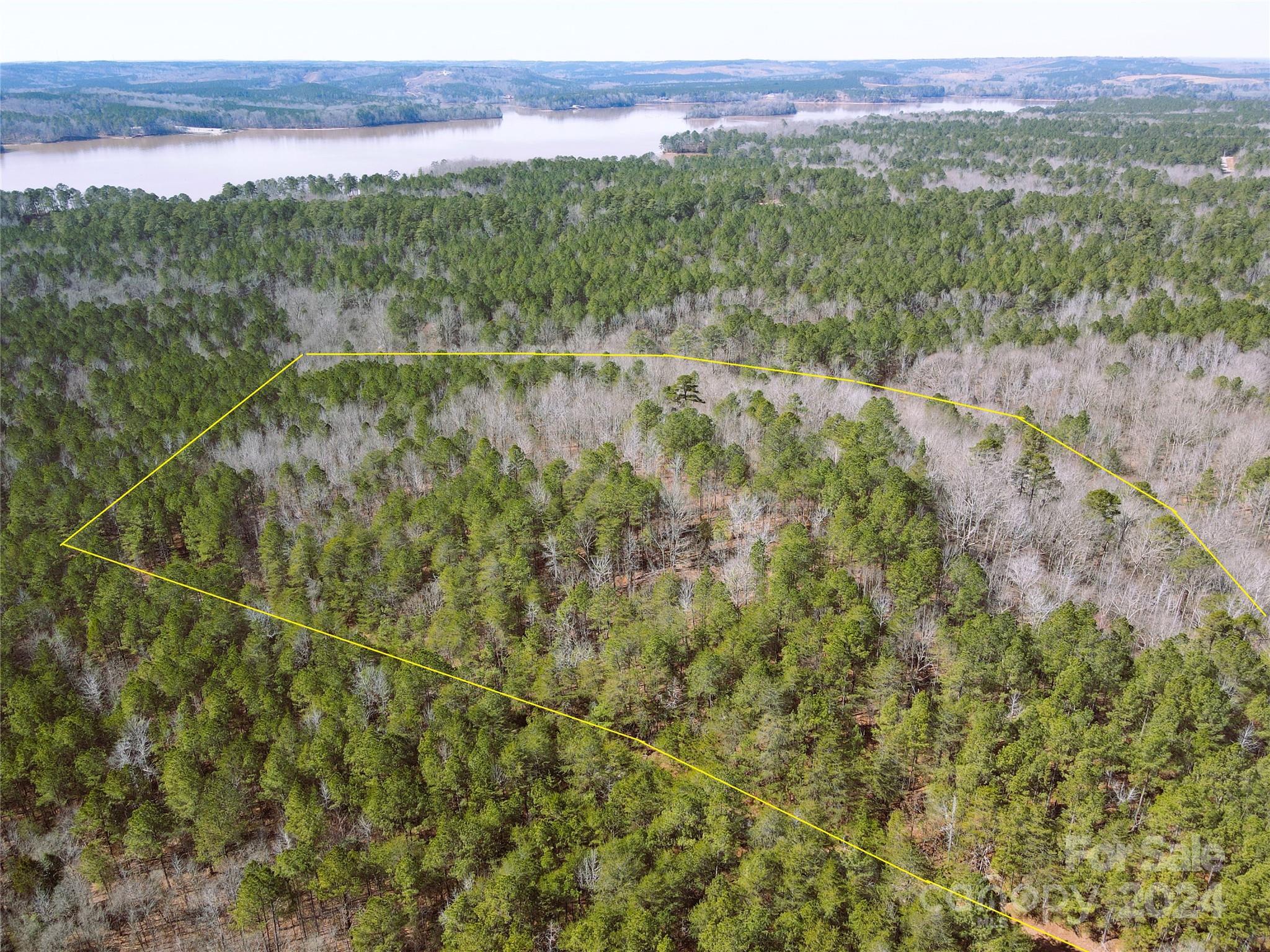 166 Wentworth Pass Rockingham, NC 28379 - Photo 2 of 27 a view of a lush green forest with lots of tall trees