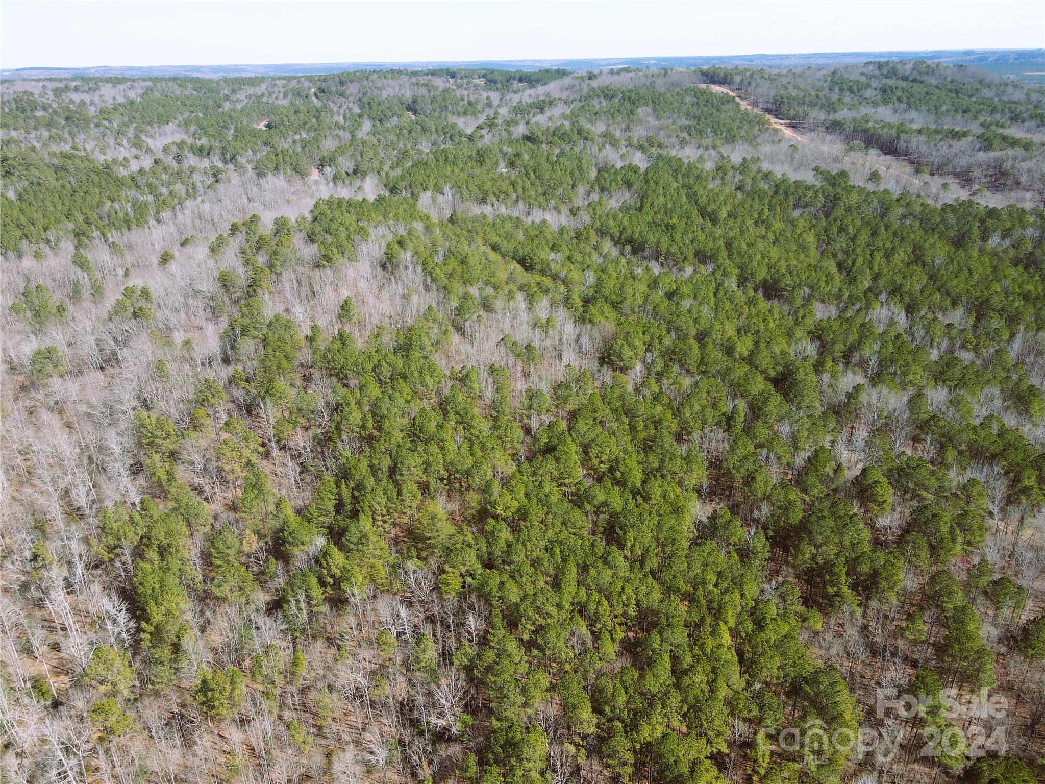 166 Wentworth Pass Rockingham, NC 28379 - Photo 21 of 27 a view of a forest with lush green forest